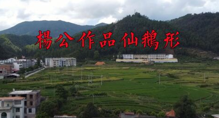 1755059776693162.png 13.png