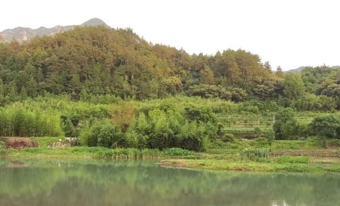 1759927773866855.png 263.png