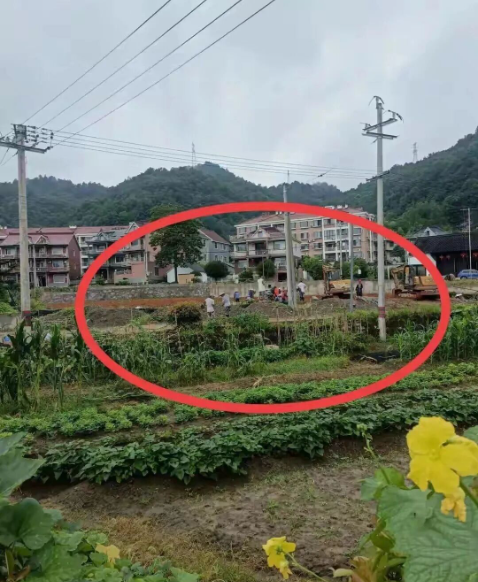 1761741129874394.png 103.png