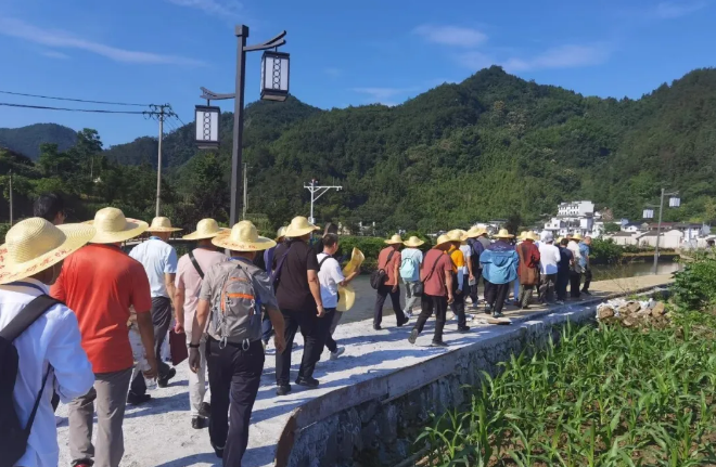 1767138912174059.jpg 7.jpg