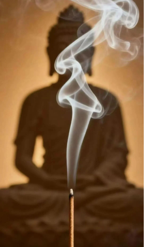 1767995576893076.png 17.png