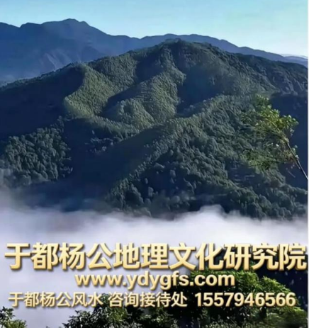 1772698032881638.jpg 24.jpg