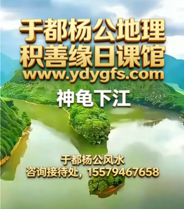 1774758976290294.jpg 1.jpg