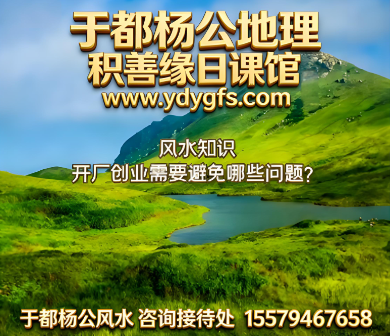 1775805567489572.jpg 3.jpg