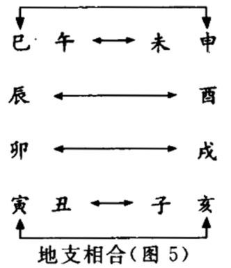 地支六合，你了解吗？