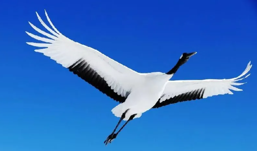 1624178907651622.png 4.png
