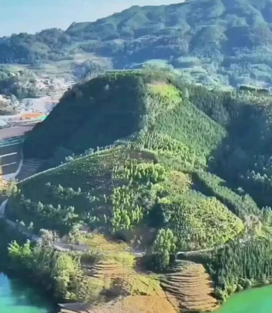 1752976497615028.png 5.png