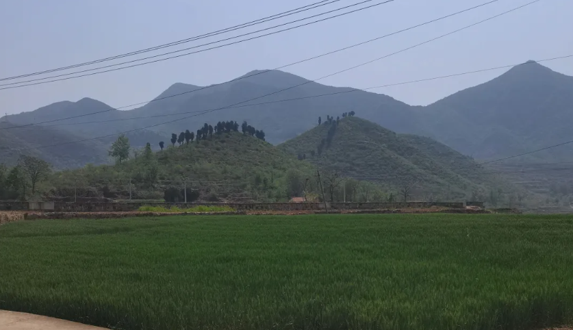 1753149073454545.png 1.png