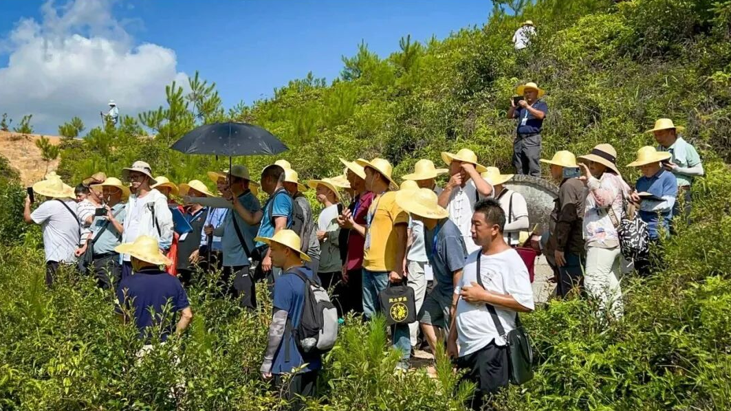 1759494440402502.png 243.png