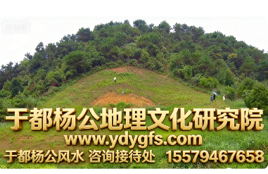 1772756978897383.jpg 12.jpg