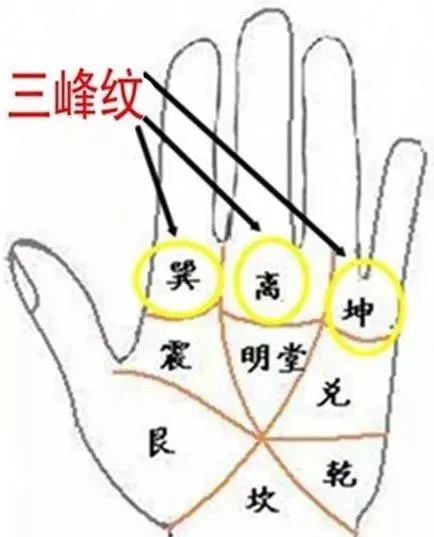 1535010519520.jpg 图片